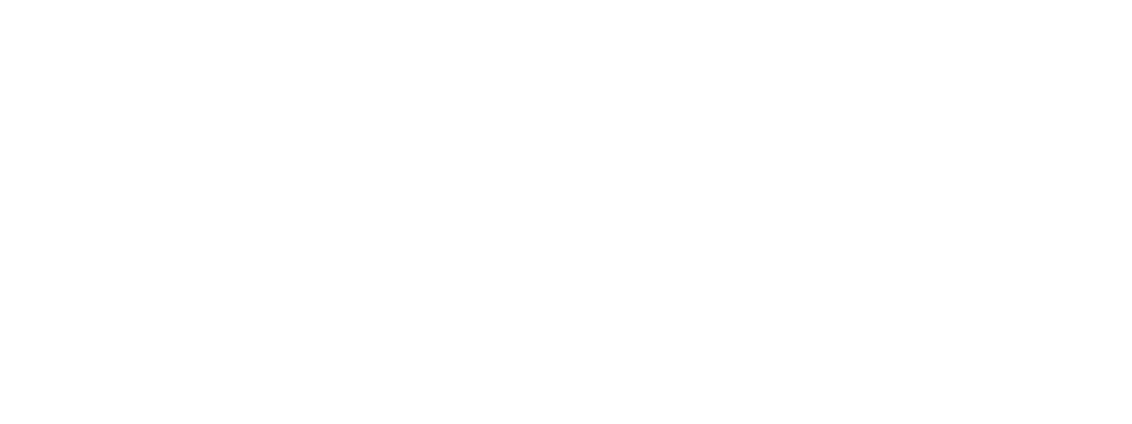 software_subheader (1)